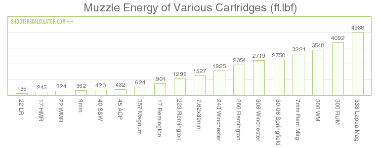 a bar graph that shows the muzzle energy of various firearm cartridges